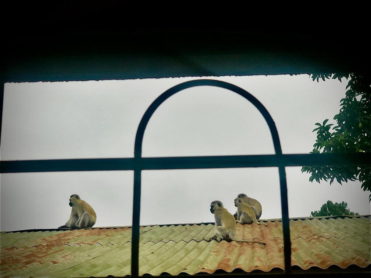 Safari Adventures-House Bed and Breakfast Arusha Exteriör bild
